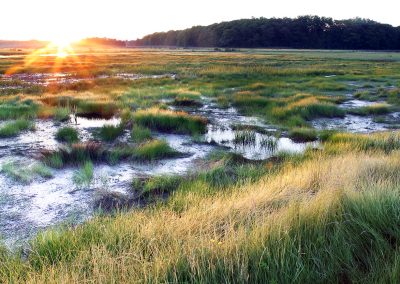 Great Marsh, Sunrise