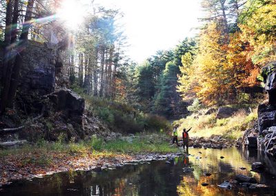 Showing the restoration of a stream in Massachusetts after a dam's removal