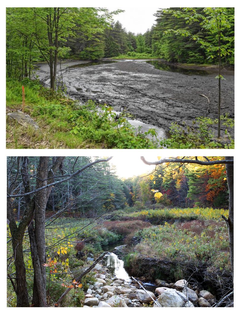 Before and after pictures of a dam removal project