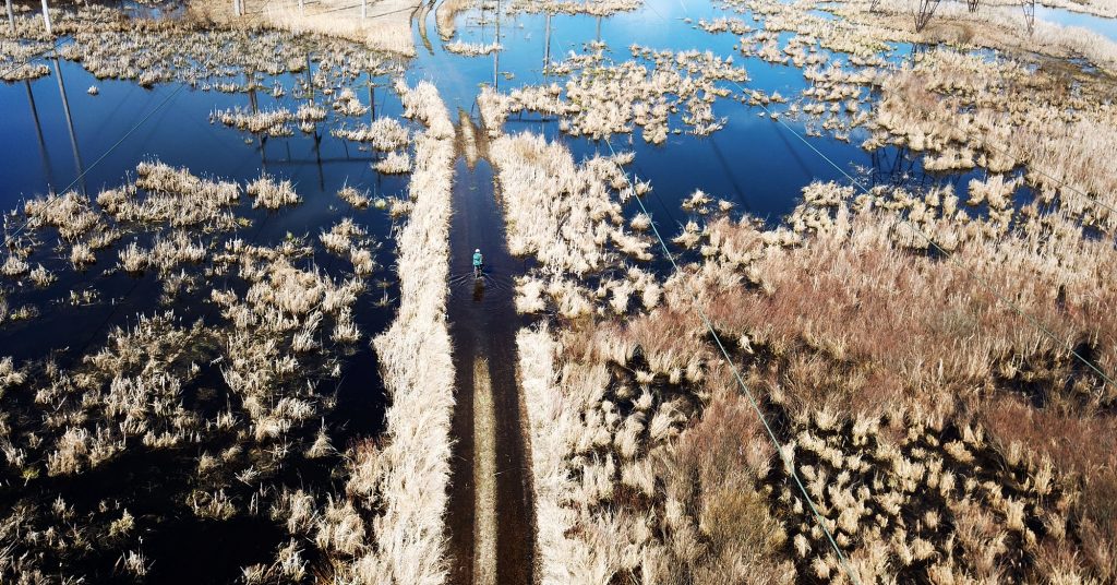Photographing and filming in the wetlands of the Saint Lawrence Valley, in Upstate New York.