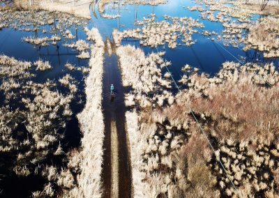 Photographing and filming in the wetlands of the Saint Lawrence Valley, in Upstate New York.