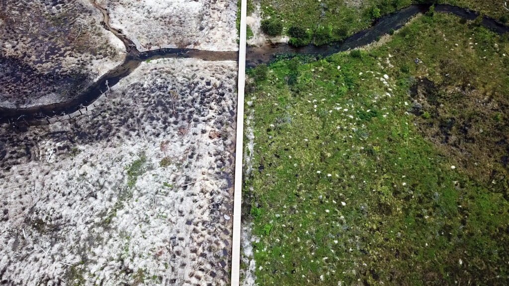 A vertical aerial photo of a cranberry bog restoration.