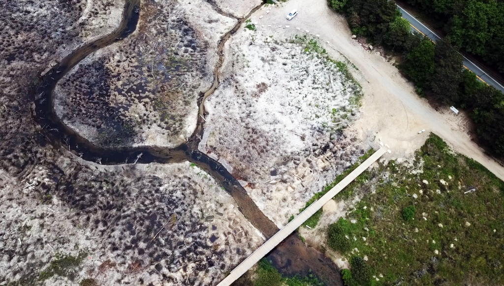 An aerial view of a restored cranberry bog in Massachusetts