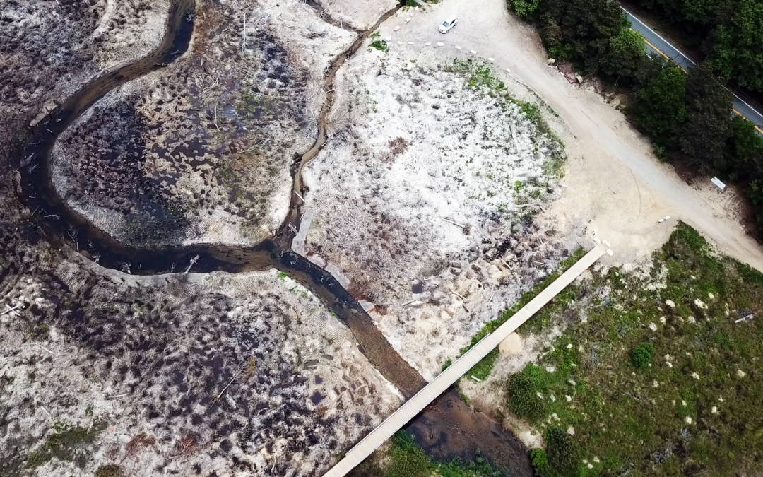 Restoration of the Coonamessett River, Massachusetts