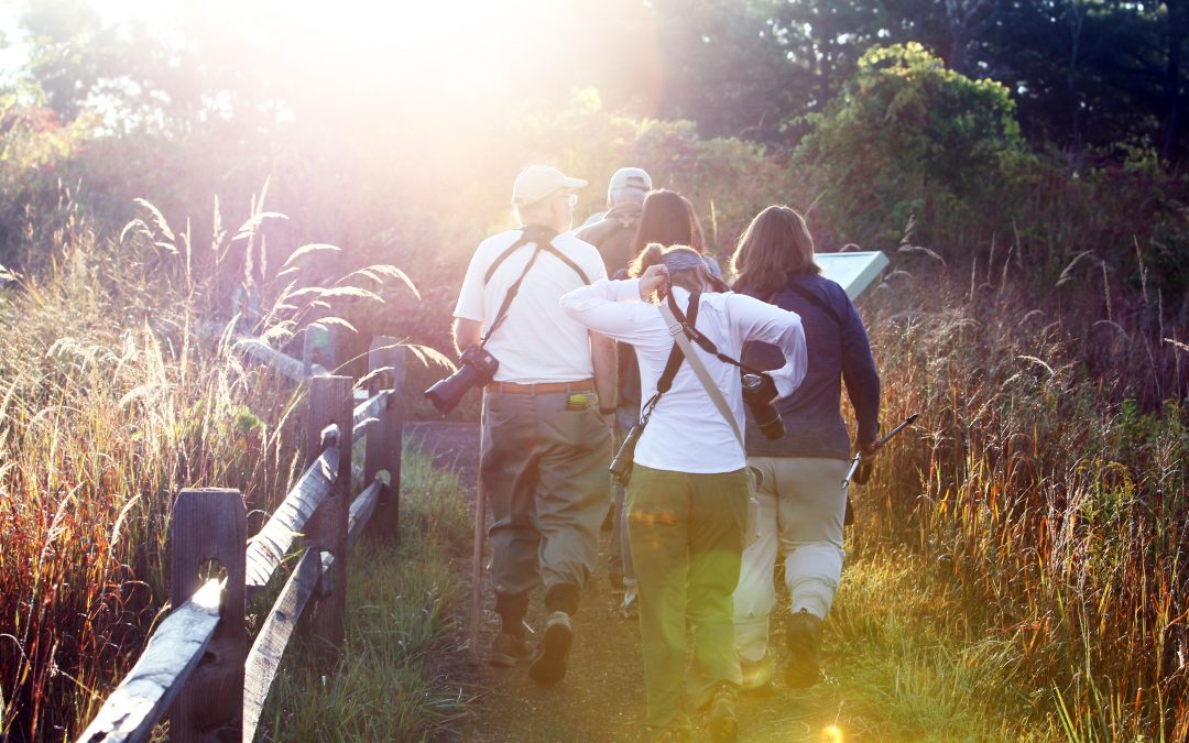 Bird Banding Public Session, Albany Pine Bush