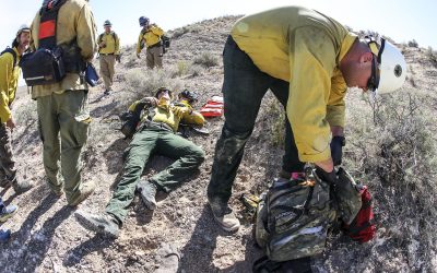 Bureau of Land Management: Fire Preparedness Review