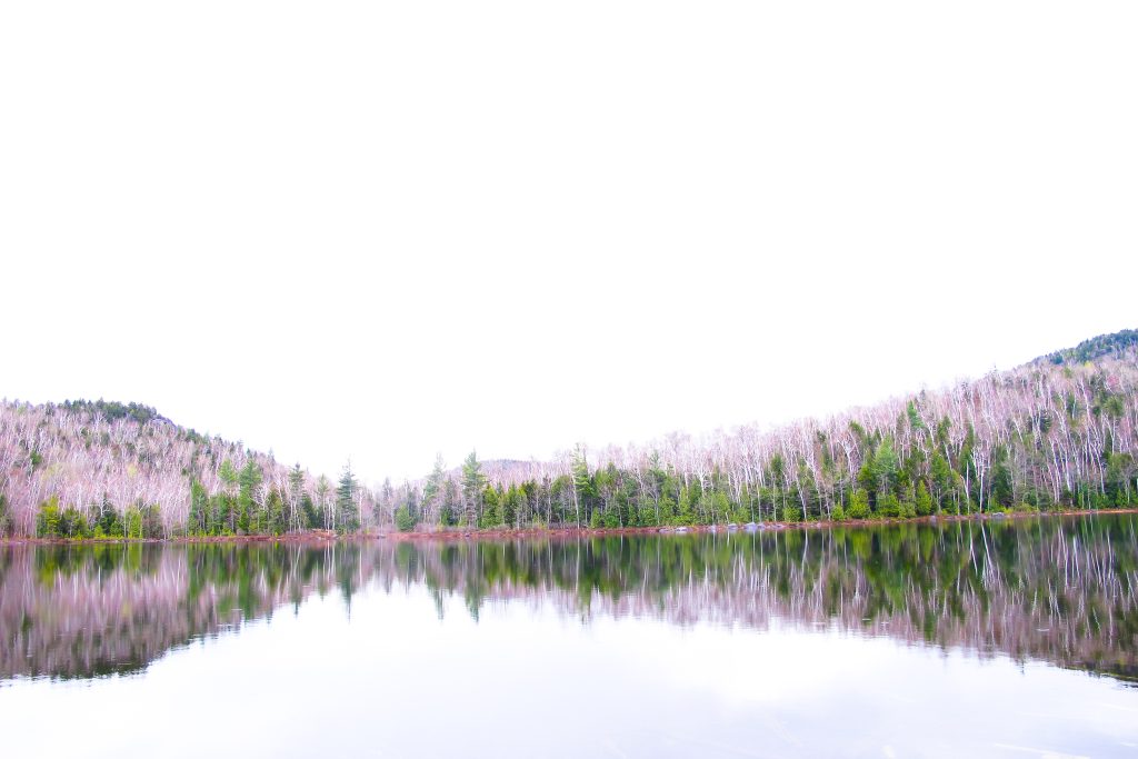 Clean image with a lot of negative space of Adirondack mountain lake in early spring, with spruce trees in distance.