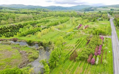 New Project: Hoosick Water
